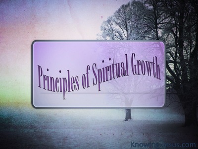 Principles Of Spiritual Growth (devotional)08-12 (white)